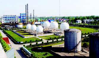 潛江聚力促發展，強招商打造新能源新材料產業新高地